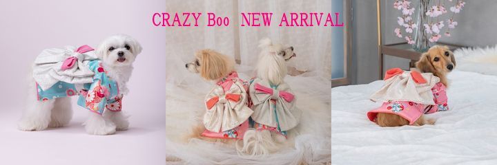CRAZYBOO