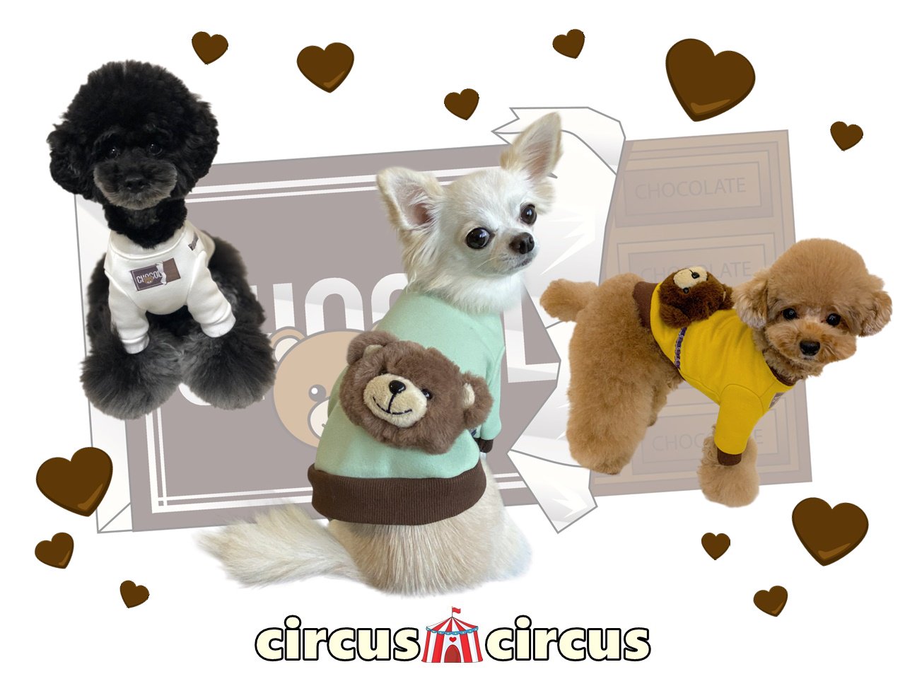 サーカスサーカス Choco Bear Girls Sweat 【 circus circus