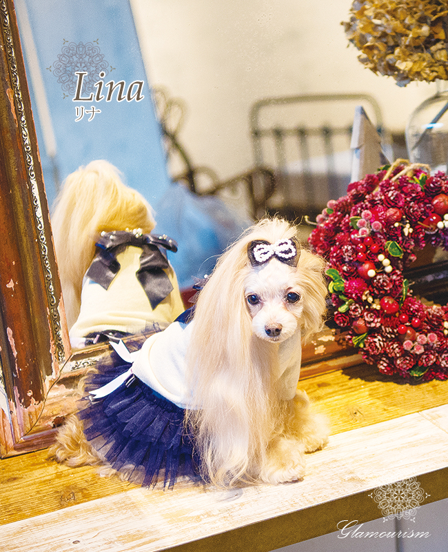 【格安saleスタート】 グラマーイズム リナ Lina 【 Glamourisum 犬服 犬グッズ セレブ 犬服・アクセサリー
