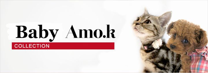 amo