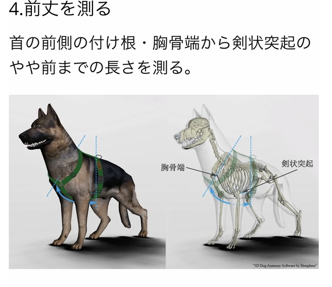 楽天市場】ハキハナ社製ハーネス【H】【SLサイズ】イタリア製 愛犬 犬用 軽量 胴輪 【イタリア・ハキハナ社正規品 5年保証】【サイズ交換可能】 :  BeautyL ビューティエル